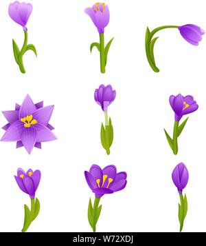 Crocus Symbole gesetzt. Cartoon von crocus Vector Icons für Web Design Stock Vektor