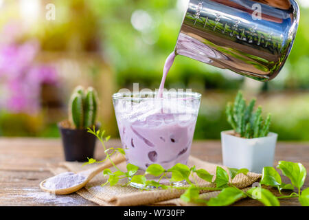 Iced purple Taro Milch in klarem Glas serviert auf hölzernen Tisch in Garden Cafe. Ice Menü Konzept Stockfoto