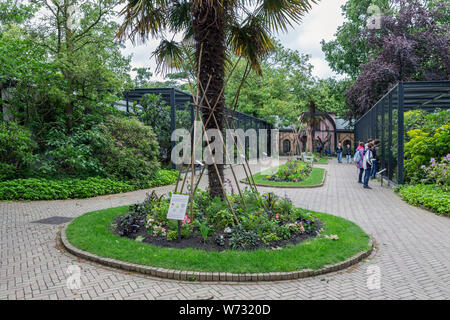 Besucher im Zoo Artis Amsterdam zum Vogelschutzgebiet suchen Stockfoto