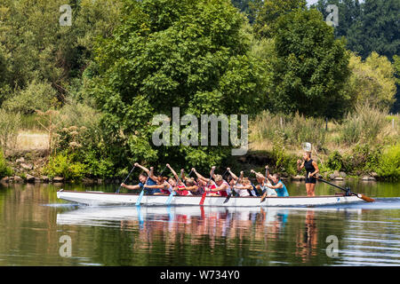 Drachenboot Training an der Ruhr, Mülheim an der Ruhr, Ruhrgebiet, Ruhrgebiet, Nordrhein-Westfalen, Deutschland, Europa Stockfoto