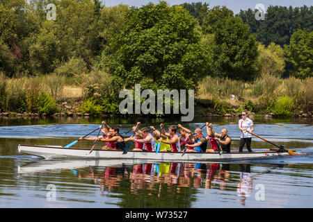 Drachenboot Training an der Ruhr, Mülheim an der Ruhr, Ruhrgebiet, Ruhrgebiet, Nordrhein-Westfalen, Deutschland, Europa Stockfoto