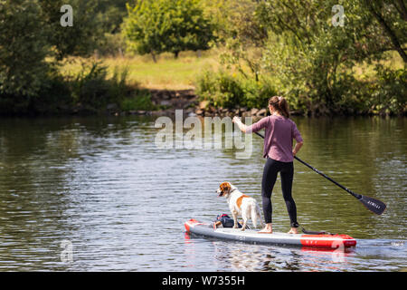 Stand-up-Paddler oder Paddel Boarder mit einem Hund an der Ruhr, Ruhrgebiet, Ruhrgebiet, Mülheim an der Ruhr, Deutschland Stockfoto