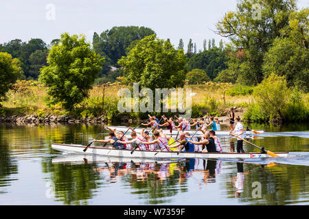 Drachenboot Training an der Ruhr, Mülheim an der Ruhr, Ruhrgebiet, Ruhrgebiet, Nordrhein-Westfalen, Deutschland, Europa Stockfoto