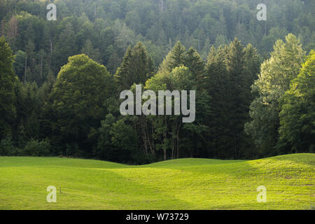 Sommer in Berchtesgaden Stockfoto