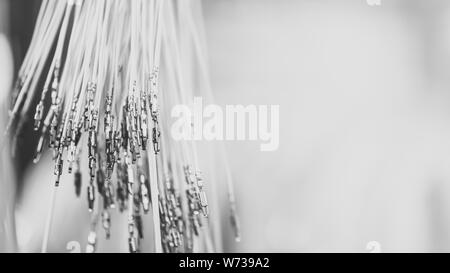 Bündel der gecrimpte Kabel mit Stecker. Beendet Kabel bereit, um die Erstellung der Verbindung. Industrielle Hintergrund mit Kopie Platz für Text, sof Stockfoto