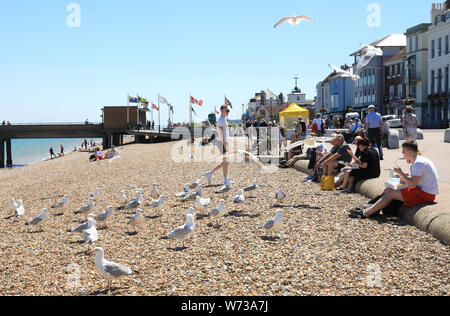 Möwen Herde um Menschen essen Fisch und Chips auf der Küste von Beschäftigen, im East Kent, Großbritannien Stockfoto