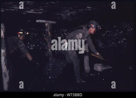 Zwei BERGLEUTE REINIGUNG AUS DEM LOSEN KOHLE VON HAND SO LEINWAND Wänden aufgehängt, UM DIE LUFTMENGE IN DER VIRGINIA - POCAHONTAS COAL COMPANY MINE #3 in der Nähe von RICHLANDS, VIRGINIA DAS IST GEFÄHRLICH, WEIL EIN TEIL DER WAND KANN POP UNERWARTET UND CRUSH EIN MANN. Eine Maschine namens Continuous Miner zu extrahieren KOHLE IN DIESEM TUNNEL VERWENDET WIRD. Die meisten KOHLE IN DEN USA WIRD GEFÖRDERT, INDEM DIESE METHODE Stockfoto