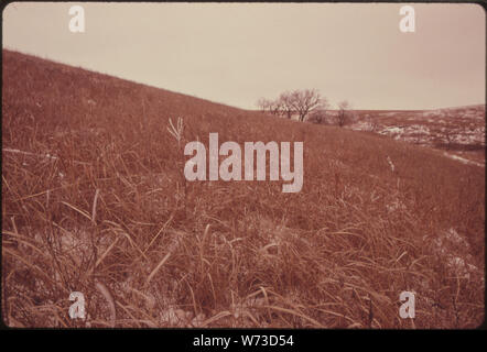 Ansicht DES KONZA PRAIRIE, 1.000 Morgen Jungfrau TALLGRASS PRAIRIE in der Nähe von Manhattan, KANSAS, IM WINTER. Die Stimmung und das AUSSEHEN DES PRAIRIE stark ändert sich von Saison zu Saison. (Siehe Folien Stockfoto