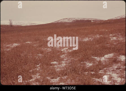 Ansicht DES KONZA PRAIRIE, 1.000 Morgen Jungfrau TALLGRASS PRAIRIE in der Nähe von Manhattan, KANSAS, IM WINTER. Die Stimmung und das AUSSEHEN DES PRAIRIE stark ändert sich von Saison zu Saison. (Siehe Folien Stockfoto