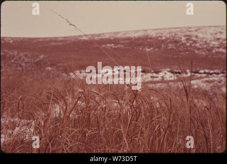 Ansicht DES KONZA PRAIRIE, 1.000 Morgen Jungfrau TALLGRASS PRAIRIE in der Nähe von Manhattan, KANSAS, IM WINTER ZEIGT EINE TYPISCHE bewölkten Himmel. Im Vordergrund ist die indische Gras, eine große Wiese TALLGRASS. Die Stimmung und das AUSSEHEN DES PRAIRIE stark ändert sich von Saison zu Saison. (Siehe Folien #14736 bis #14739 FÜR EINEN BLICK AUF DIE PRÄRIE, DIE WAR GRÜN IM AUGUST trotz einer extremen Dürre DIE TIEFE DER WURZELN DER GRÄSER Pflegen der Pflanzen essen.) Stockfoto