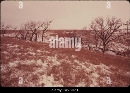 Ansicht DES KONZA PRAIRIE, 1.000 Morgen Jungfrau TALLGRASS PRAIRIE in der Nähe von Manhattan, KANSAS, IM WINTER. Die Stimmung und das AUSSEHEN DES PRAIRIE stark ändert sich von Saison zu Saison. (Siehe Folien Stockfoto