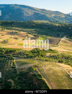 Die schöne Landschaft rund um Ronda in der Provinz Malaga, Andalusien, Spanien. Stockfoto