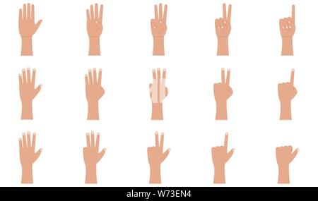 Gesten der Hand Symbole im flachen Stil. Handfläche und Handgelenk. Eins, zwei, drei, vier, fünf Finger Vector Illustration auf weißem Hintergrund Stock Vektor