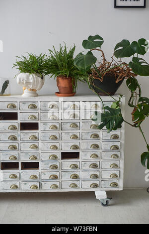 Weiß Aktenschrank im alten Stil. Mit fehlenden Schubladen. Auf der Oberseite sind Töpfe mit Blumen. Retro. Stockfoto