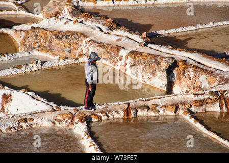 Arbeiter an der Salinen von Maras, das Heilige Tal, Peru Stockfoto