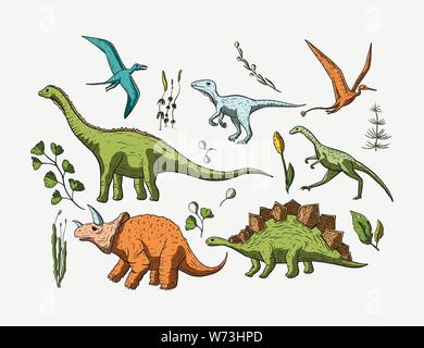 Dinosaurier Arten gesetzt. Jura- und Kreidezeit Tier Sammlung. Prähistorische vector dino Icon Set. Stock Vektor