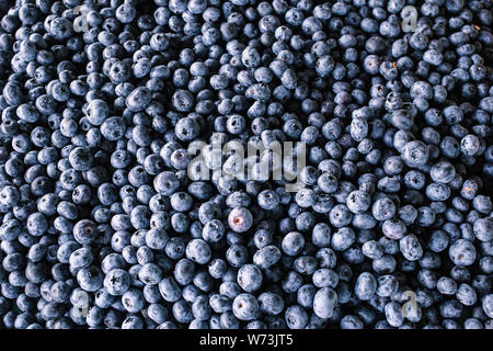 Frische Heidelbeeren. Close-up Hintergrund. Die Oberfläche ist mit einer dicken Schicht von Blaubeeren abgedeckt. Natürliche Hintergrund. Topview von frischen Heidelbeeren. Stockfoto