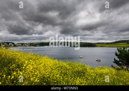 Natürliche Hafen von St Mawes Dorf unter bewölktem Himmel und gelbe Blumen Bedstraw in Truro Cornwall England Stockfoto