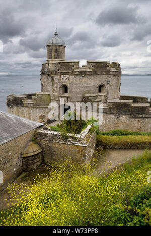 St Mawes Castle mit gelben Bedstraw Wildblumen an der Küste von Carrick Roads Falmouth Bay Atlantik in Cornwall, England Stockfoto