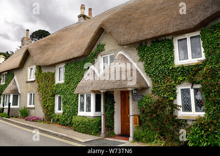 Seacliffe Warren Strohdach Cornish Cottage mit Efeu in St Mawes Dorf TRURO Cornwall England Stockfoto