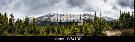 Panoramablick von Bow Summit Lookout Trail, Banff National Park, Alberta, Kanada Stockfoto