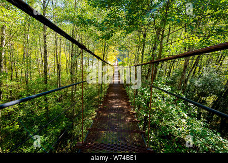 Schmale metall Fuß Brücke über Wald im Herbst. Stockfoto
