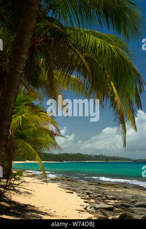 Playa Los Tubos, Vega Baja, PR Stockfoto