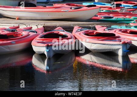 Red vermietung Kajaks im Wasser spiegelt, Dow's Lake, Ottawa, Ontario, Kanada. Stockfoto