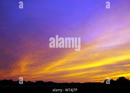 Die untergehende Sonne und Himmel sind violett Gelb. Silhouette des Waldes über dem Horizont. USA, Michigan Stockfoto