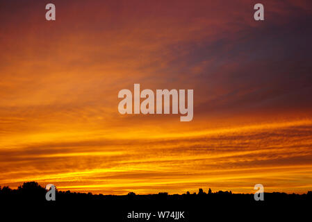 Dunkel orange Sonnenuntergang am Abend Silhouette des Waldes. USA, Michigan Stockfoto