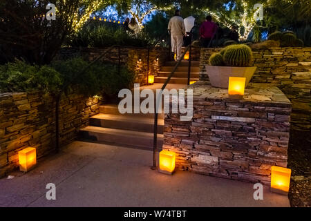 Desert Botanical Garden Luminarias Stockfoto