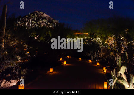 Desert Botanical Garden Luminarias & Licht Stockfoto