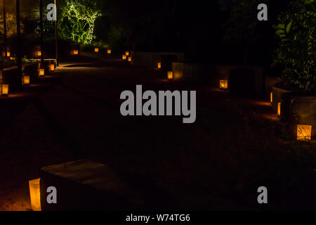 Desert Botanical Garden Luminarias Stockfoto