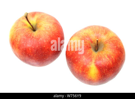 Ein paar Jonagold Äpfel auf weißem Hintergrund Stockfoto
