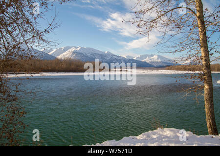 Blick Vom Chilkat Bald Eagle Preserve, Haines, Alaska Stockfoto