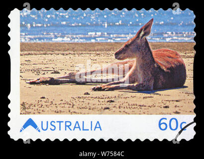 Australien - ca. 2011: Eine Briefmarke zeigt gedruckte ibn Australien Kangaroo am Strand, ca. 2011 Stockfoto