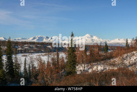 Mt. Denali View in Alaska Stockfoto