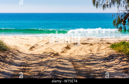 Ein sandiger Pfad, der zum Strand führt an einem sonnigen Tag Stockfoto