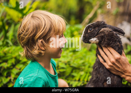 Die Jungen füttert das Kaninchen. Kosmetik Test auf Kaninchen Tier. Cruelty Free und Tierquälerei Konzept stoppen Stockfoto