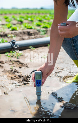 Frau mesures Bewässerung mit digitalen PH-Meter im Wasser Pfütze. Kopfsalat Pflanzen und Rohren. Stockfoto