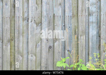Hintergrund natürlichen hölzernen Brettern. Textur des Alten unbemalt Holzbohlen. Vertikale Anordnung von Brettern. Stockfoto