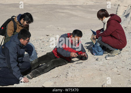 Chinesische Paläontologen Wang Xiaolin, Mitte, und andere Arbeiter graben die dreidimensional haltbar gemachte Eier und Fossilien der Flugsaurier, wie Schinken bekannt Stockfoto