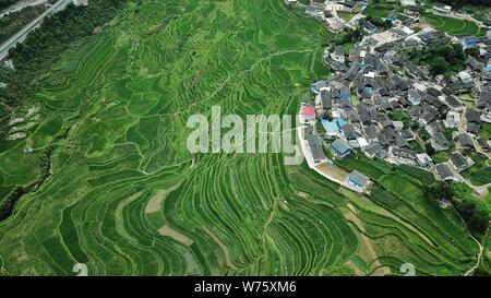 (190805)-BEIJING, August 5, 2019 (Xinhua) - Luftaufnahme genommen am 1. Juli 2019 zeigt die Landschaft der Gaoyao terrassierten Feldern in Longquan Township von Danzhai County, im Südwesten Chinas Provinz Guizhou. , Ein Binnenland der Provinz Guizhou im Südwesten Chinas, rühmt sich selbst mit großen Gebirge und Hügel, die für 92,5 Prozent der insgesamt in der Provinz. Als Pilot Zone der nationalen ökologischen Zivilisation, Guizhou hat in den letzten Jahren begangen worden ist, selbst entwickelt sich zu einem touristischen Ziel von Berg Tourismus weltweit bekannt zu sein. Grüne Entwicklung hat einen Namen Karte für Gui werden Stockfoto