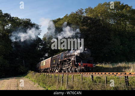 BR-Standard 5 MT-Nr. 73082 arbeitet, ein Zug durch Leigh Woods auf der WSR Stockfoto