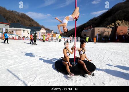 Chinesische Mädchen tragen Bikinis durchführen Pole Dance vor Kälte an einem Ski Park in Luanchuan County, Luoyang City, Central China Provinz Henan, 3. Dezember Stockfoto