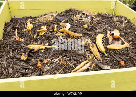 Komposteimer mit banana skins, Obst Peelings und Apple Kerne Stockfoto