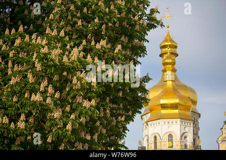 Blühende Kastanie auf dem Hintergrund der goldenen Kuppeln der Kirche. Kiew, Ukraine Stockfoto