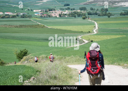 Pilger aus gesehen hinter mit einem Rucksack auf dem Camino Frances, der Jakobsweg, zwischen Burgos und Hontanas, Kastilien und León, Castilla y Leon. Pa Stockfoto