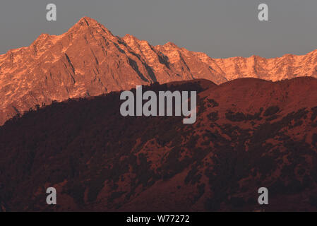 Abendrot über die Dhauladhar Berge, Teil des Unteren Himalayan Range, McLeodganj, Kangra Bezirk, Himachal Pradesh, Nordindien, Asien. Stockfoto