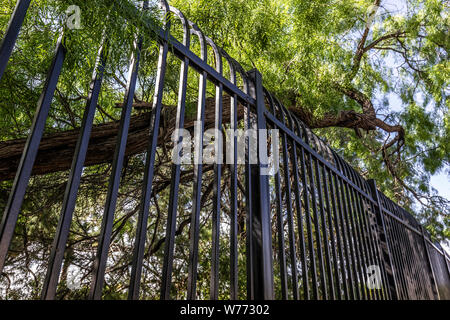 Ein Teil der Grenzzaun entlang der Kante des Campus Laredo's Community College in Laredo, Texas Stockfoto